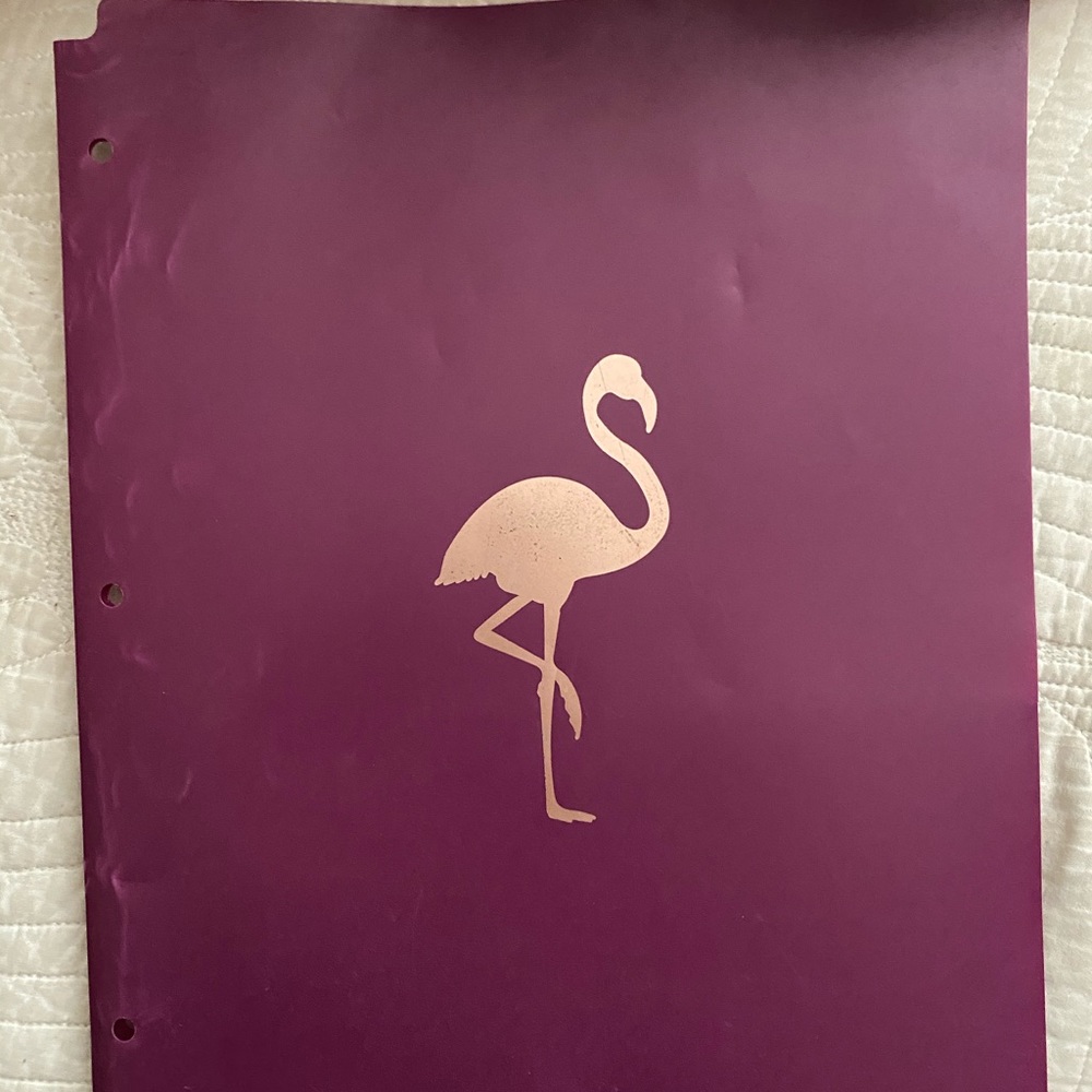 Folders - Picture 6 of 7